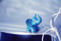 Elefant_1984_01