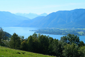 Herbst_24_Traunfall_19b