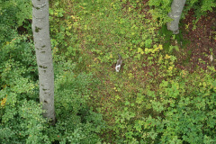 1_MSC-Ausflug-22_032