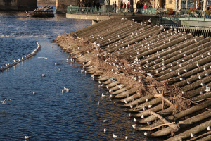 Ausfl_Prag_064