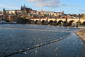 Ausfl_Prag_065