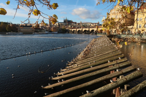 Ausfl_Prag_066