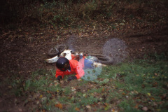 06_SchwaPu_91