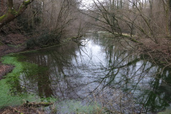 WiWa_23_33