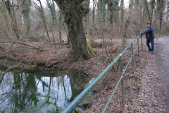WiWa_23_34