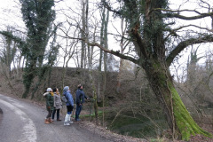 WiWa_23_36
