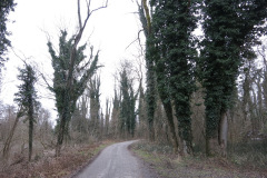 WiWa_23_39