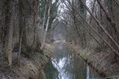 WiWa_23_40